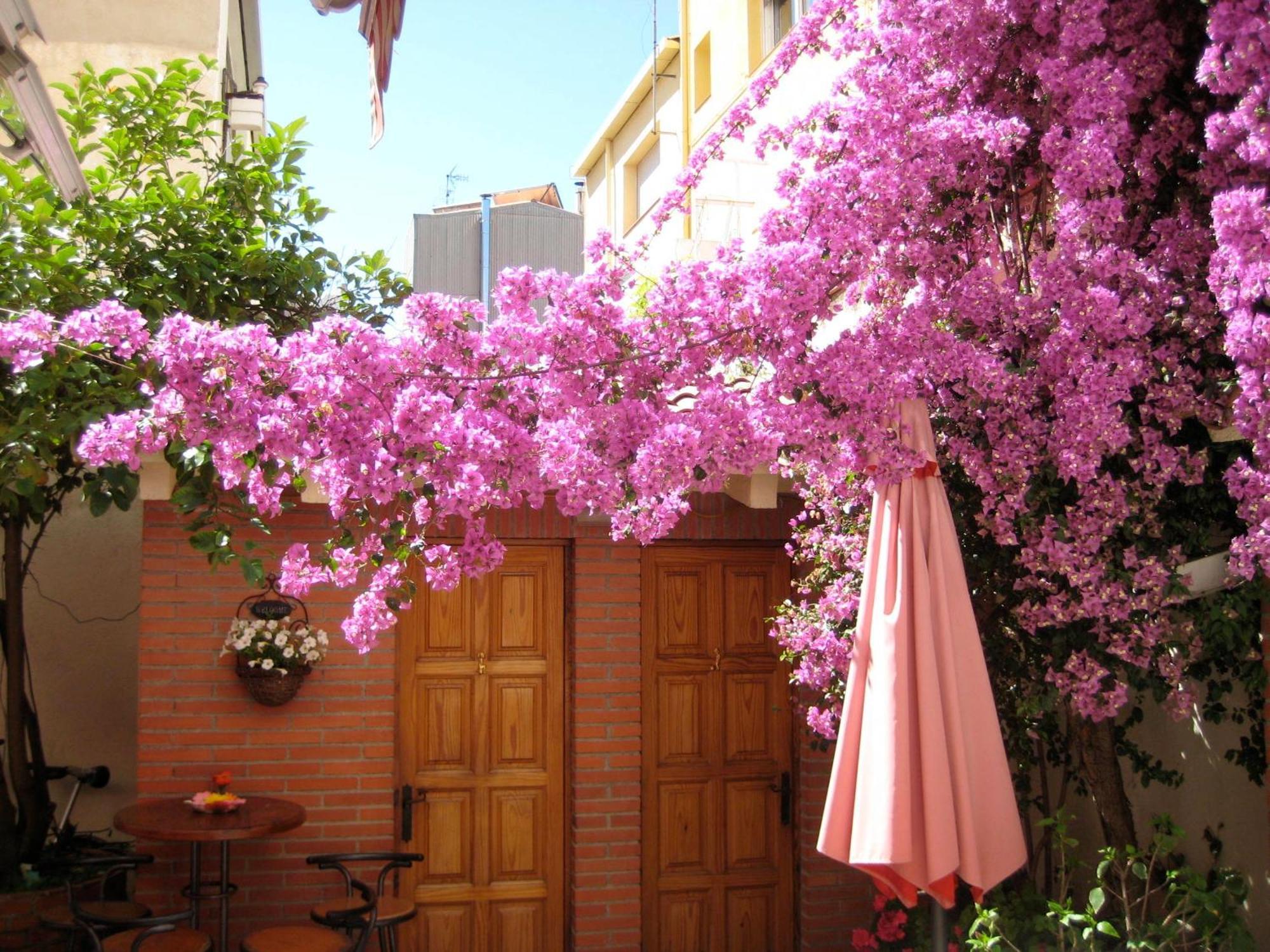 Pension Casa Austria Калелья Экстерьер фото
